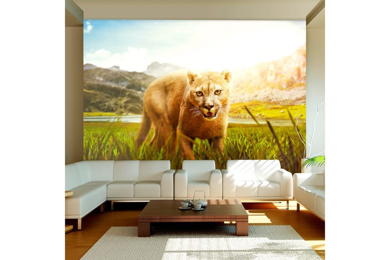 Fototapet Watch Out! 400x280, Artgeist sp. z o. o.