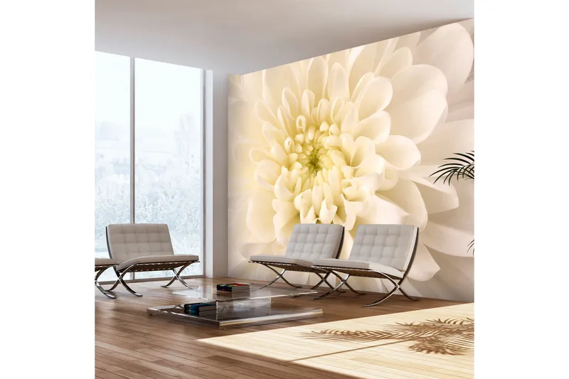 Fototapet White Dahlia 350x270, Artgeist sp. z o. o.