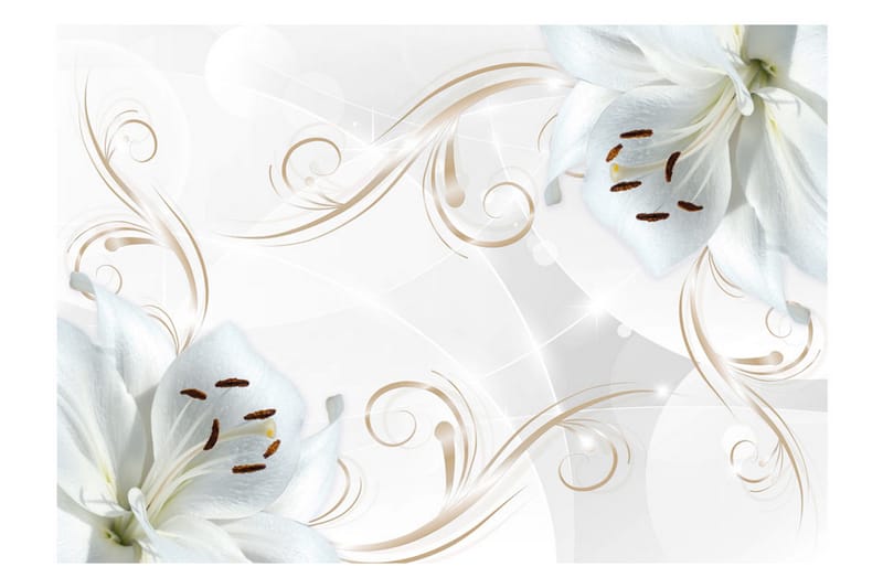 Fototapet White Dancers 400x280 - Artgeist sp. z o. o. - Boligtilbehør - Vægdekoration - Tapeter - Fototapeter