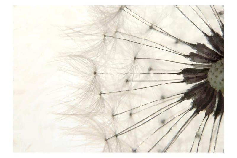 Fototapet White Dandelion 250x175 - Artgeist sp. z o. o. - Boligtilbehør - Vægdekoration - Tapeter - Fototapeter