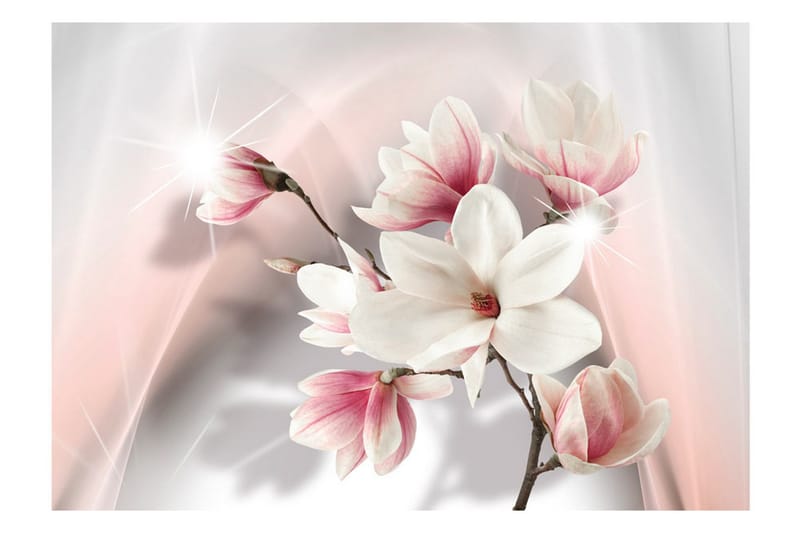 Fototapet White Magnolias 150x105 - Artgeist sp. z o. o. - Boligtilbehør - Vægdekoration - Tapeter - Fototapeter
