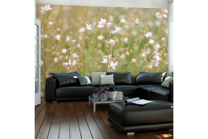 Fototapet White Sensitive Flowers 250x193, Artgeist sp. z o. o.