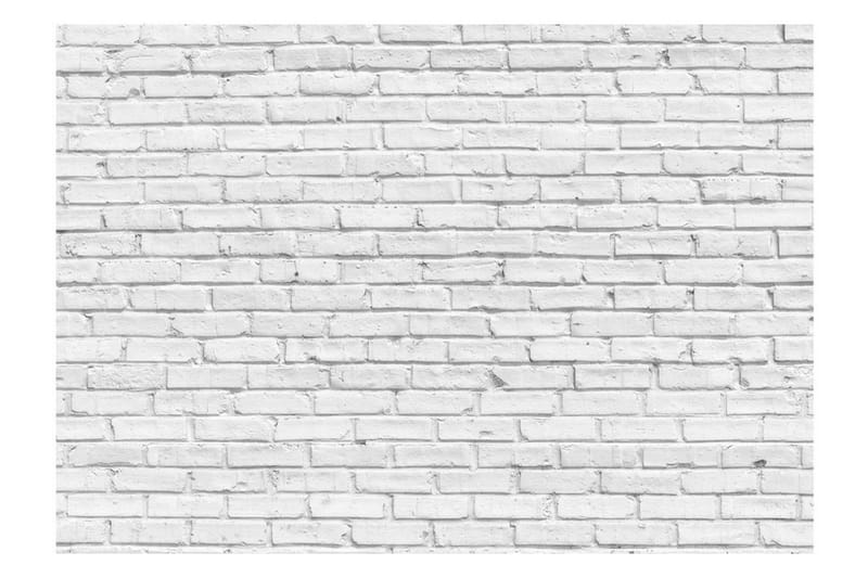 Fototapet White Stone 400x280 - Artgeist sp. z o. o. - Boligtilbehør - Vægdekoration - Tapeter - Fototapeter