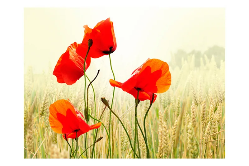 Fototapet Wild Poppies 250x193, Artgeist sp. z o. o.