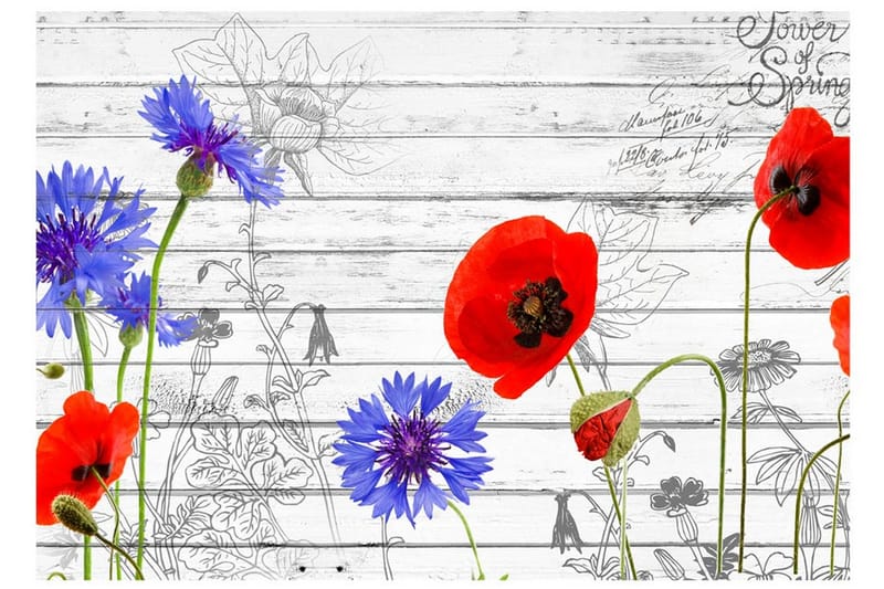 Fototapet Wildflowers 300x210 - Artgeist sp. z o. o. - Boligtilbehør - Vægdekoration - Tapeter - Fototapeter