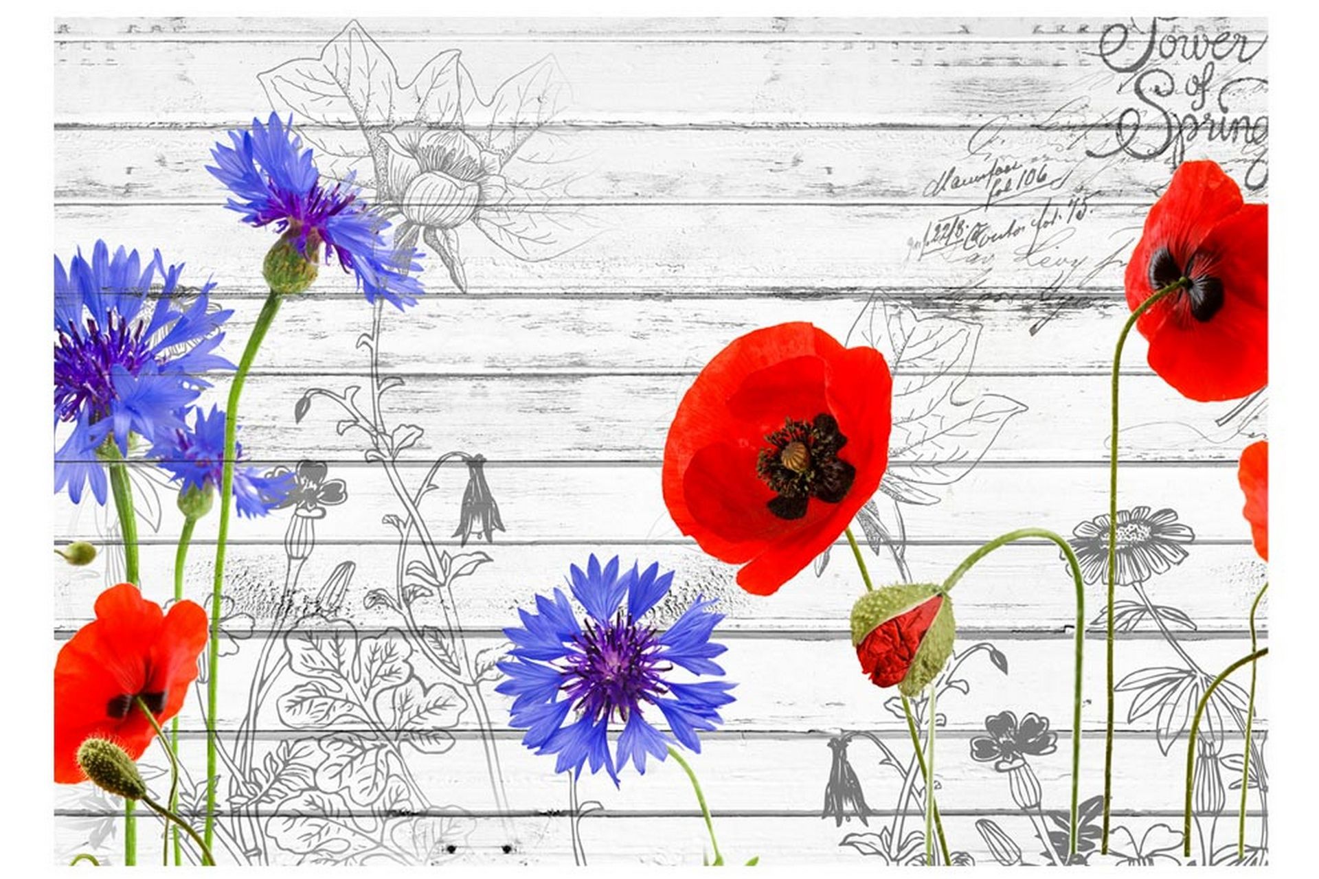 Fototapet Wildflowers 300x210 - Artgeist sp. z o. o. - Boligtilbehør - Vægdekoration - Tapeter - Fototapeter