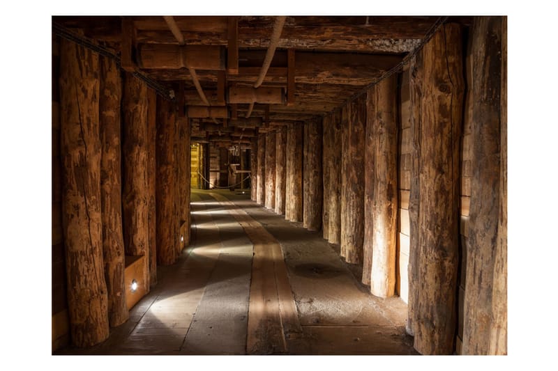 Fototapet Wooden Passage 350x270 - Artgeist sp. z o. o. - Boligtilbehør - Vægdekoration - Tapeter - Fototapeter