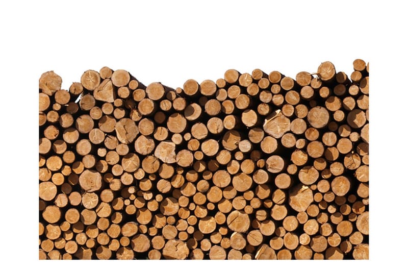 Fototapet Woodpile 200x154, Artgeist sp. z o. o.