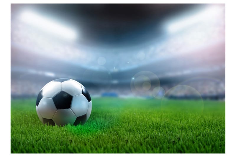 Fototapet World Championship 250x175 - Artgeist sp. z o. o. - Boligtilbehør - Vægdekoration - Tapeter - Fototapeter