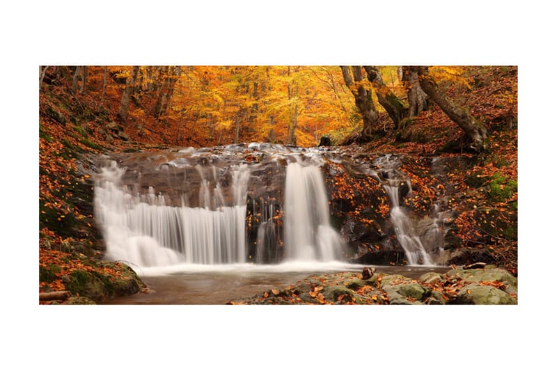 Fototapet XXL Autumn Landscape Waterfall In Forest 550x270 - Artgeist sp. z o. o. - Boligtilbehør - Vægdekoration - Tapeter - Fototapeter