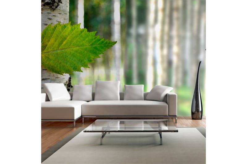 Fototapet XXL Birch leaf 550x270 - Artgeist sp. z o. o. - Boligtilbehør - Vægdekoration - Tapeter - Fototapeter