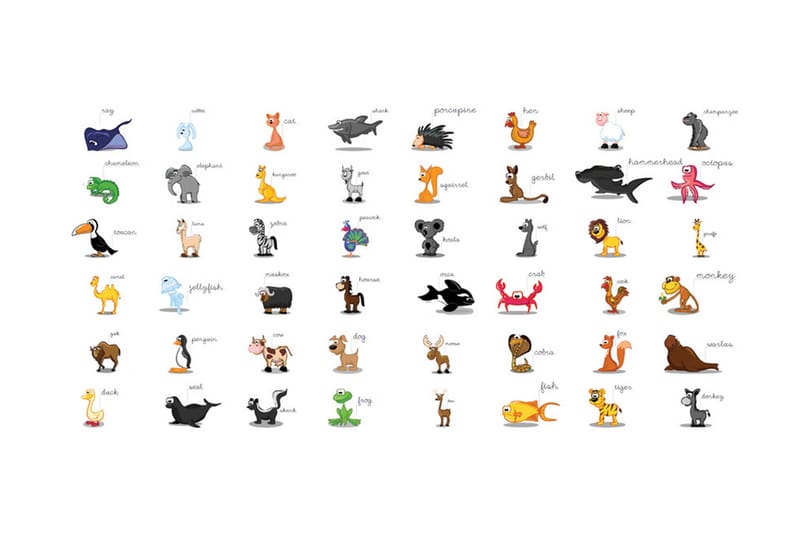 Fototapet XXL Learning By Playing Animals 550x270 - Artgeist sp. z o. o. - Boligtilbehør - Vægdekoration - Tapeter - Fototapeter