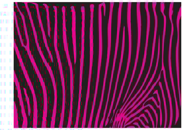Fototapet Zebra Mønster Violet 400x309 - Artgeist sp. z o. o. - Boligtilbehør - Vægdekoration - Tapeter - Fototapeter