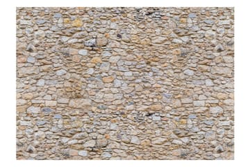 Fototapet Pebbles 250x175 - Artgeist sp. z o. o. - Boligtilbehør - Vægdekoration - Tapeter - Fototapeter