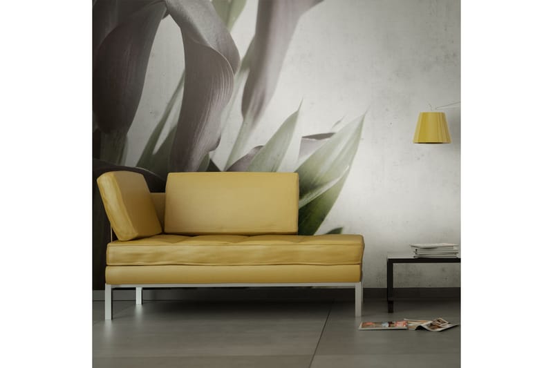 Fototapet Panoramaudsigt Over Dolomiterna 250x193 - Artgeist sp. z o. o. - Boligtilbehør - Vægdekoration - Tapeter - Fototapeter