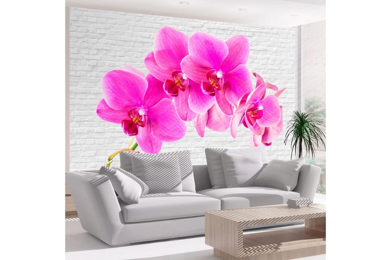 Fototapet Pink Excitation 400x280, Artgeist sp. z o. o.