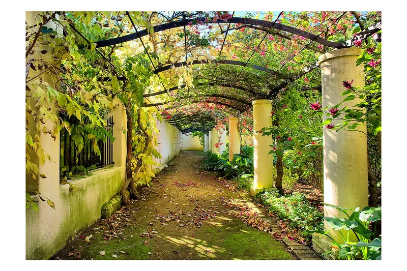 Fototapet Pergola 400x280, Artgeist sp. z o. o.