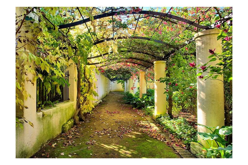 Fototapet Pergola 250x175 - Artgeist sp. z o. o. - Fototapeter