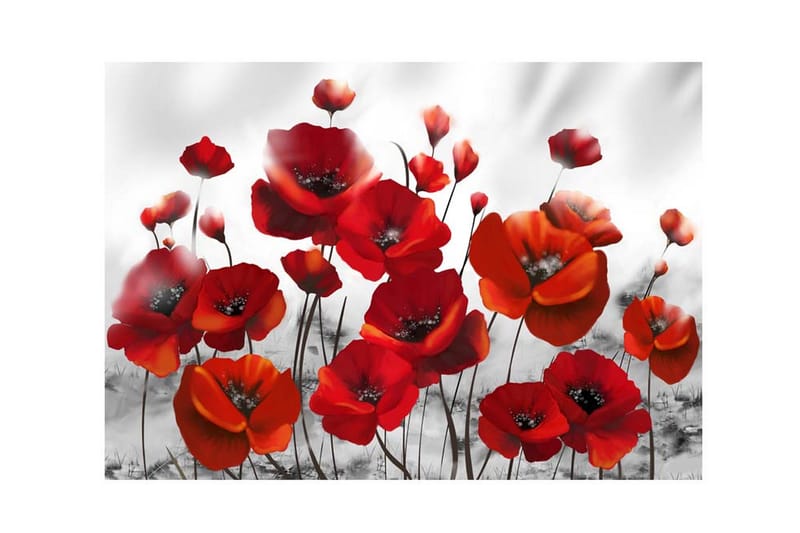 Fototapet Poppies In The Moonlight 150x105 - Artgeist sp. z o. o. - Boligtilbehør - Vægdekoration - Tapeter - Fototapeter
