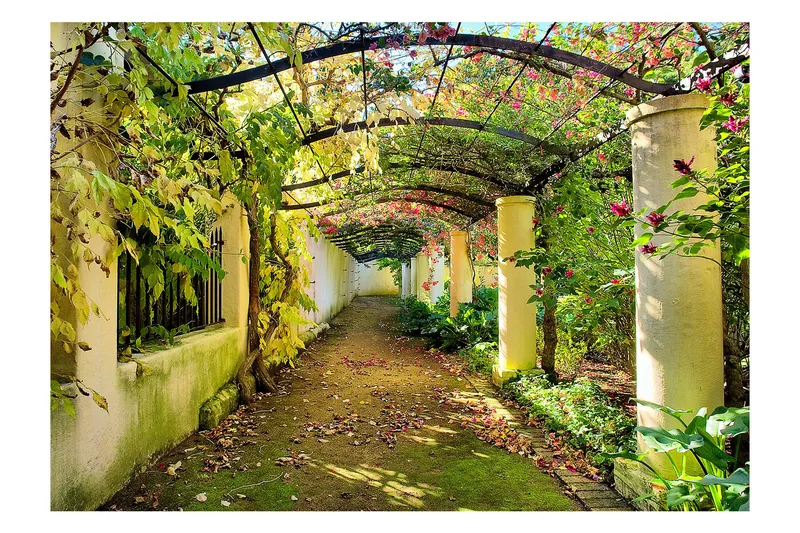 Fototapet Pergola 150x105, Artgeist sp. z o. o.