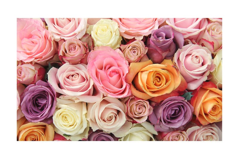 Fototapet Pastel Roses 450x270, Artgeist sp. z o. o.