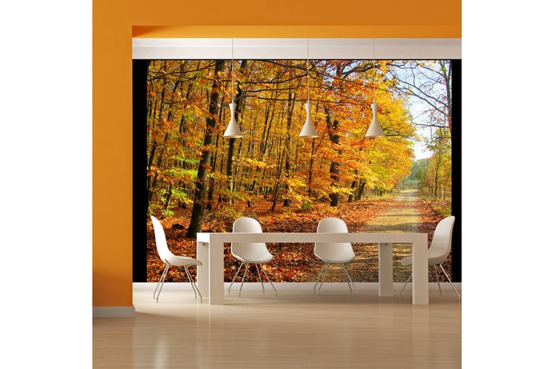 Vægmaleri Beech Forest 200x154 - Artgeist sp. z o. o. - Boligtilbehør - Vægdekoration - Tapeter - Fototapeter