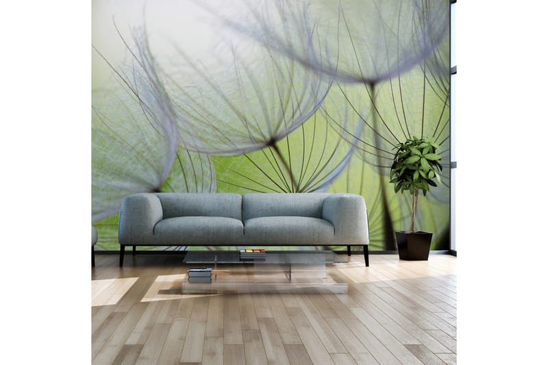 Vægmaleri Fleeting øjeblikke 200x140, Artgeist sp. z o. o.