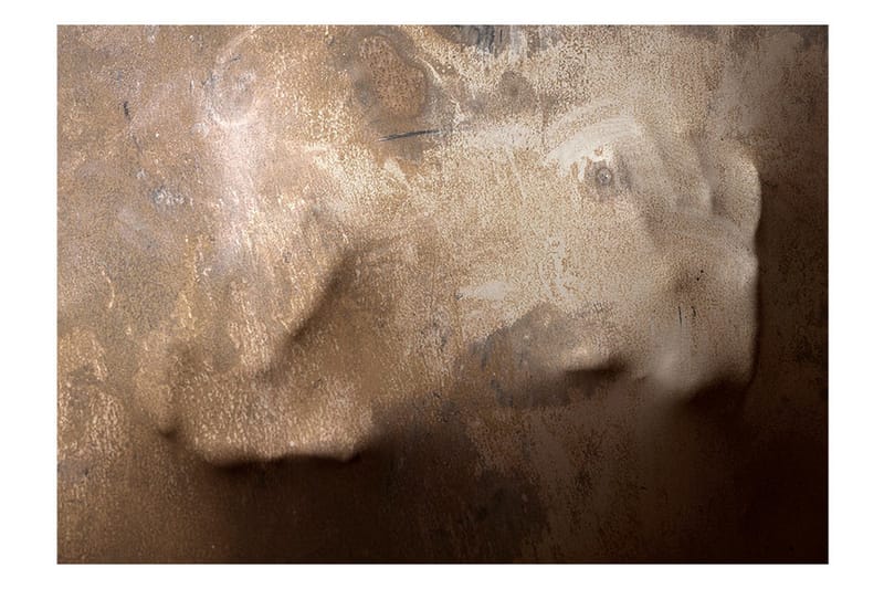 Vægmaleri Varmen i din hånd 150x105 - Artgeist sp. z o. o. - Boligtilbehør - Vægdekoration - Tapeter - Fototapeter