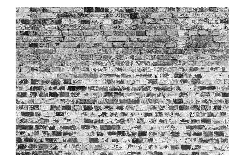 Fototapet Border Of Greynesses 400x280 - Artgeist sp. z o. o. - Boligtilbehør - Vægdekoration - Tapeter - Tilbehør til tapet - Tapet kant