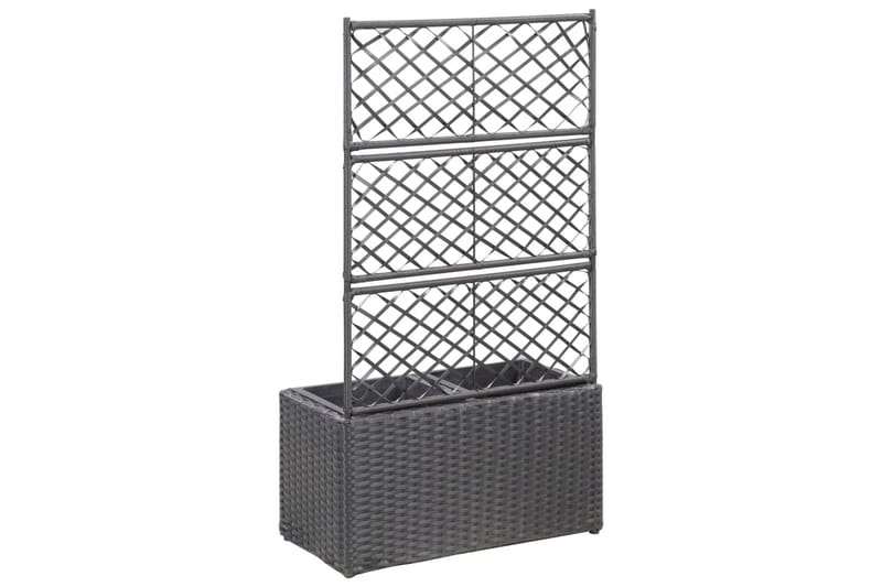 Espalier med Plantekasse 2 Krukker 58x30x107 Polyrattan Sort - Sort - Have - Havearbejde & dyrkning - Drivhuse - Drivhustilbehør