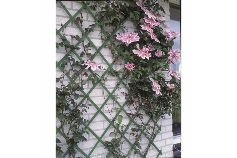 Nature haveespalier 100x200 cm PVC grøn 6040704 - Grøn - Drivhustilbehør - Espailer