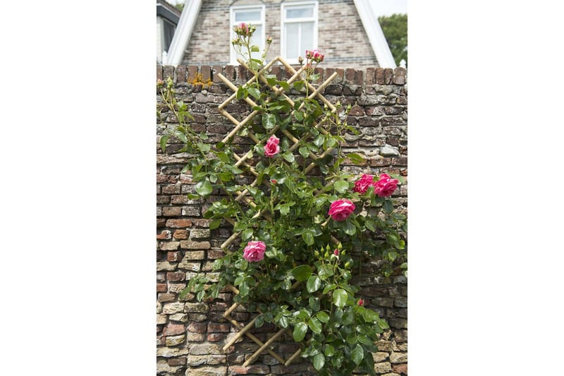 Nature haveespalier 70x180 cm bambus 6040721 - Brun - Drivhustilbehør - Espailer