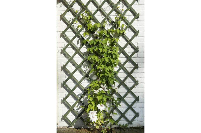 Nature haveespalierer 2 stk. træ 50 x 150 cm grøn - Grøn - Have - Havearbejde & dyrkning - Drivhuse - Drivhustilbehør