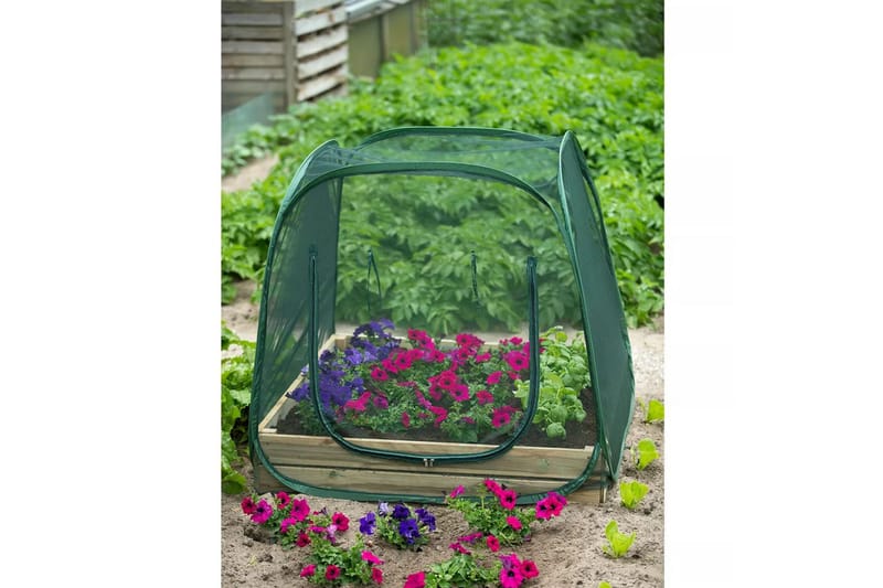 Nature pop-up drivhus 100 x 100 x 100 cm 6020409 - Grøn - Have - Havearbejde & dyrkning - Drivhuse