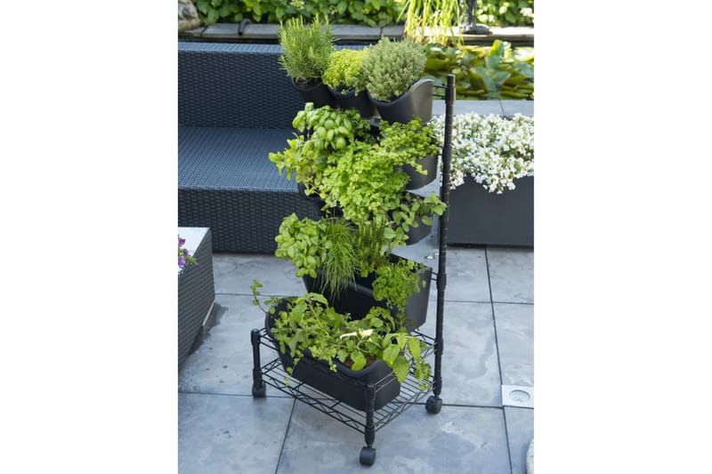 Nature lodret plantekrukkestativ - Sort - Have - Havearbejde & dyrkning - Dyrkning - Plantning & fordyrkning - Plantetrug