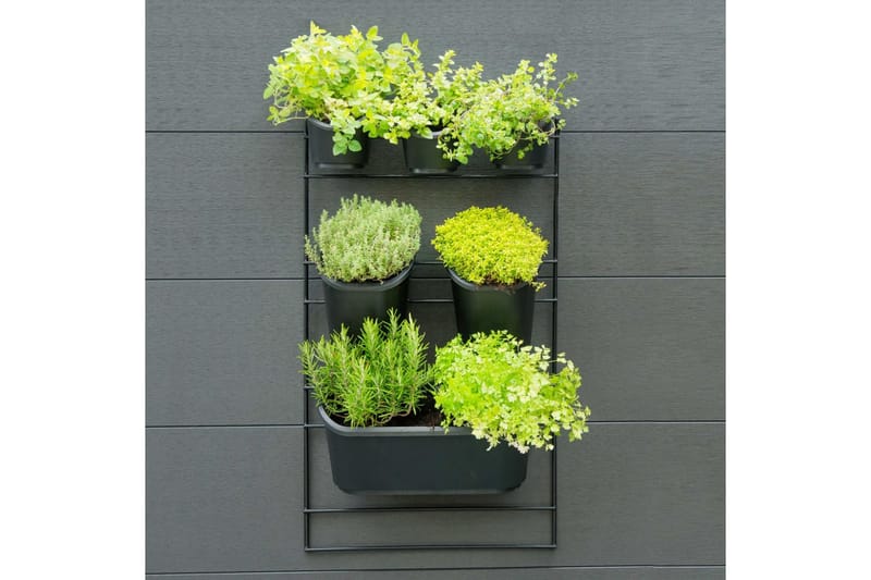 Nature lodret plantestativ til mur - Sort - Have - Havearbejde & dyrkning - Dyrkning - Plantning & fordyrkning - Plantetrug