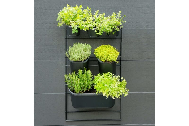 Nature lodret plantestativ til mur - Sort - Have - Havearbejde & dyrkning - Dyrkning - Plantning & fordyrkning - Plantetrug