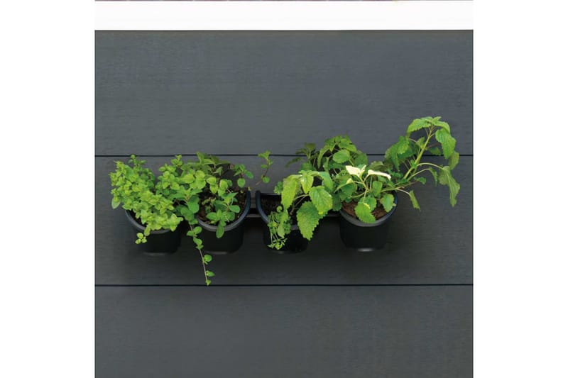 Nature lodret plantevæg til urter og blomster - Sort - Have - Havearbejde & dyrkning - Dyrkning - Plantning & fordyrkning - Plantetrug