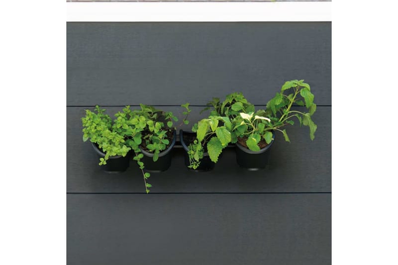 Nature lodret plantevæg til urter og blomster - Sort - Have - Havearbejde & dyrkning - Dyrkning - Plantning & fordyrkning - Plantetrug