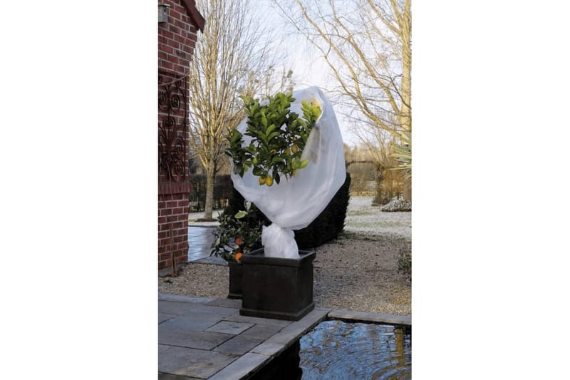 Nature frostdækken i fleece 2x5 m 30 g/mÂ² hvid - Have - Havearbejde & dyrkning - Dyrkning - Plantning & fordyrkning - Plastiknet & havenet