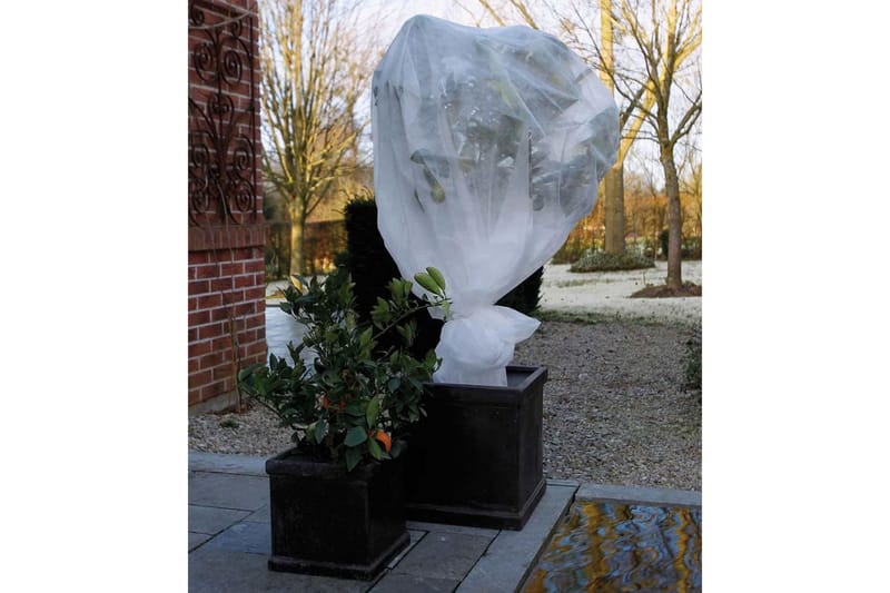 Nature frostdækken i fleece 30 g/m² 2x10 m hvid - Bærnet - Plastiknet & havenet