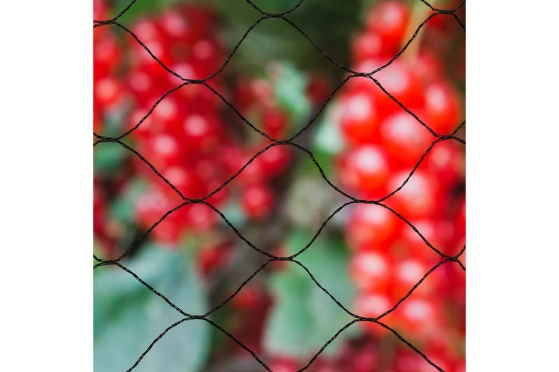 Nature Fuglenet Primo 10x10 m sort 6030407 - Have - Havearbejde & dyrkning - Dyrkning - Plantning & fordyrkning - Plastiknet & havenet