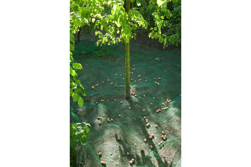Nature opsamlingsnet til frugt og blade 4,3 x 4,3 m 6030451 - Have - Havearbejde & dyrkning - Dyrkning - Plantning & fordyrkning - Plastiknet & havenet