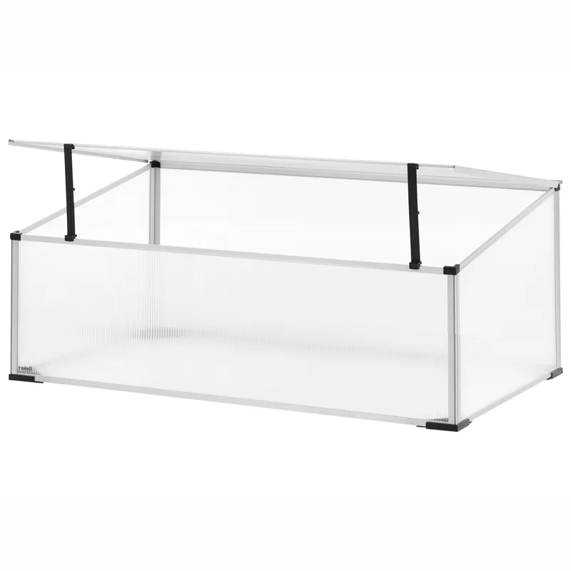 Drivhus til have Carfizzi Sølv 60, Sølv/Transparent