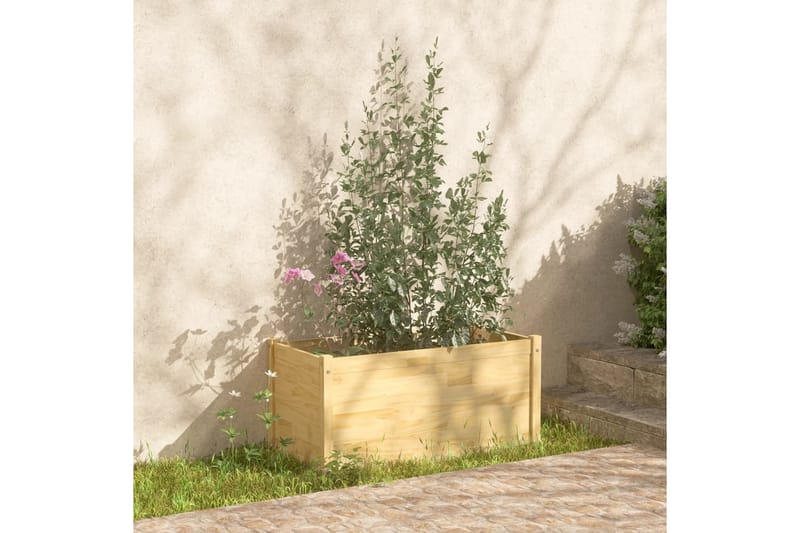 plantekasse 100x50x50 cm massivt fyrretræ - Brun - Havekrukker - Blomsterkasser