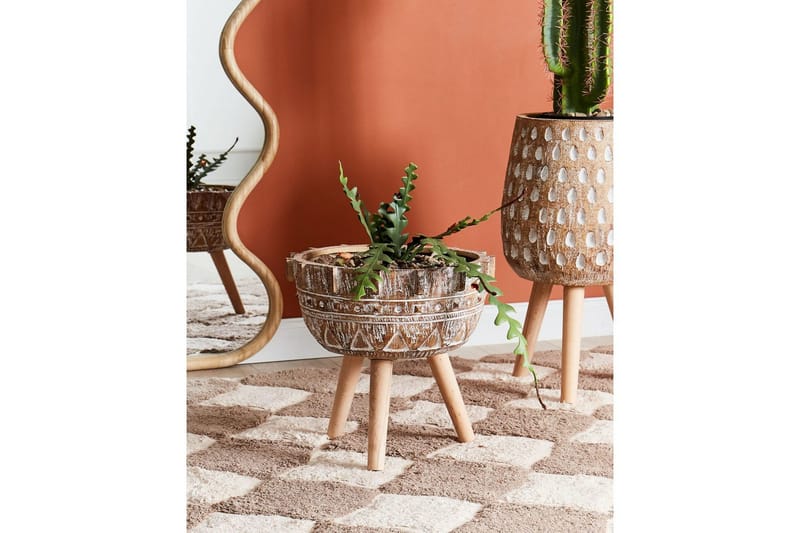 Trädgårdskruka Beliani Asplenium Brown||Light colored wood||White - Have - Havearbejde & dyrkning - Dyrkning - Urtepotteskjulere & blomsterkrukker - Store blomsterkrukker