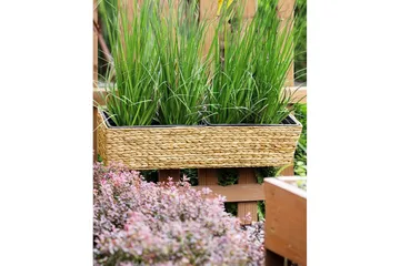 Trädgårdskruka Beliani Kawala Beige, 80x18x20 cm Beige - Have - Havearbejde & dyrkning - Dyrkning - Urtepotteskjulere & blomsterkrukker - Store blomsterkrukker