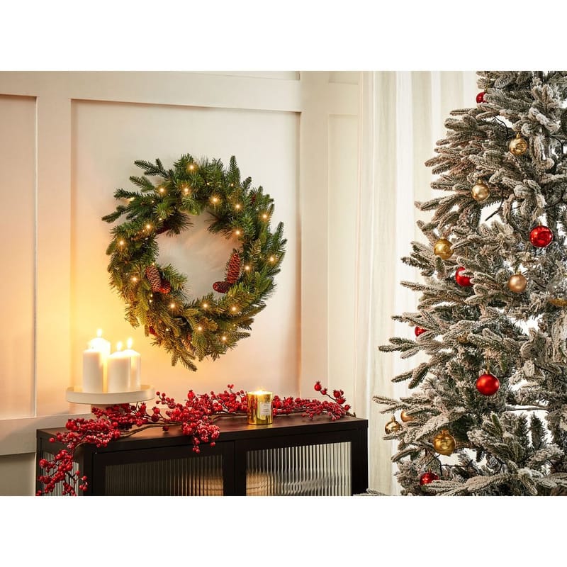 Julekrans Kamerun - Have - Havearbejde & dyrkning - Planter - Pynteplanter - Dørkranse