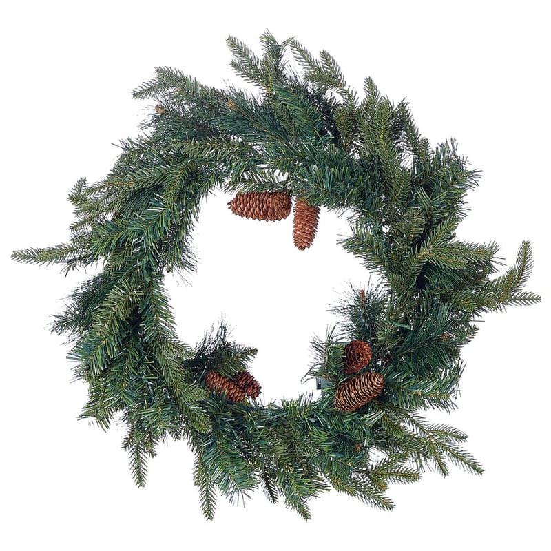 Julekrans Kamerun - Have - Havearbejde & dyrkning - Planter - Pynteplanter - Dørkranse