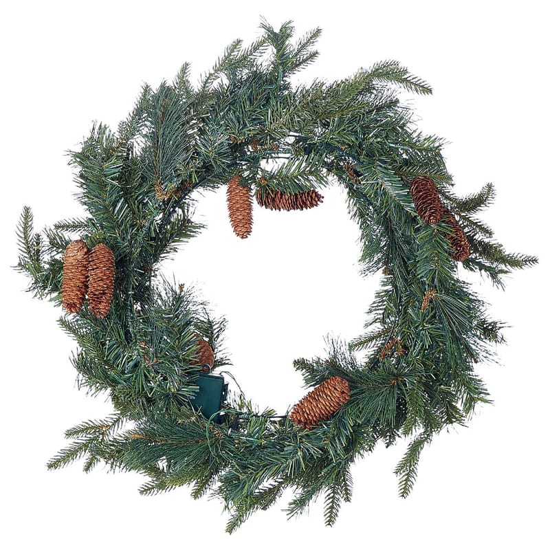 Julekrans Kamerun - Have - Havearbejde & dyrkning - Planter - Pynteplanter - Dørkranse